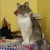 Отзыв от Фаина Князева